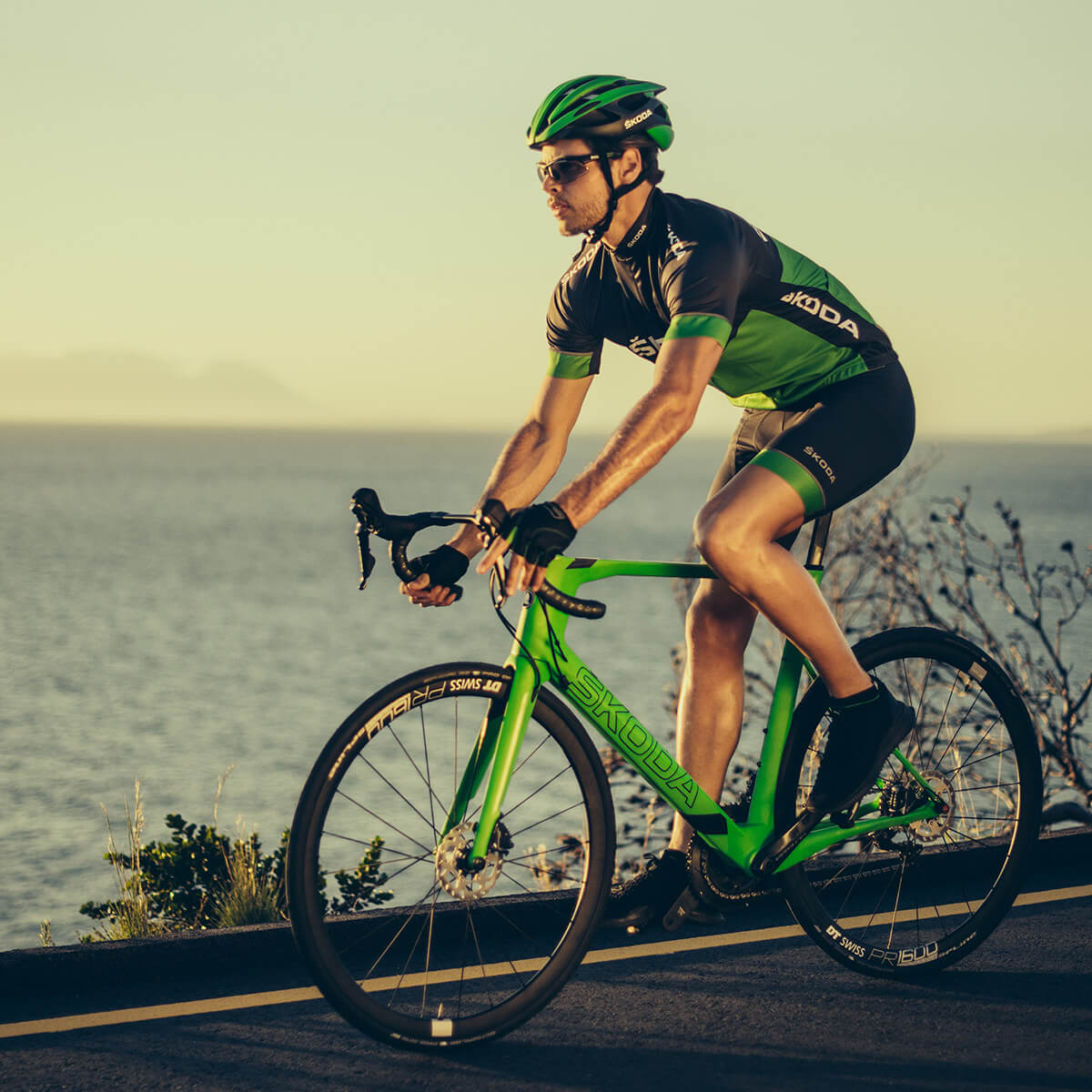 Škoda Cycling Kollektion