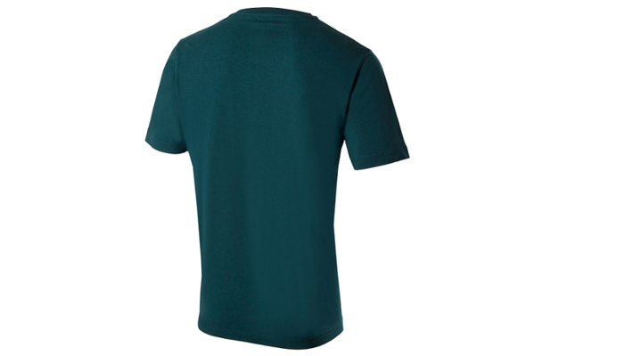Škoda Herren T-Shirt, emerald green, Gr. XXL