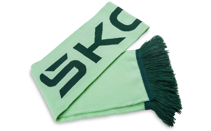 Škoda Hockeyschal