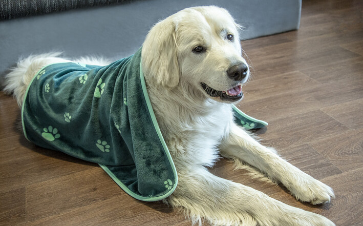 Škoda Hundedecke