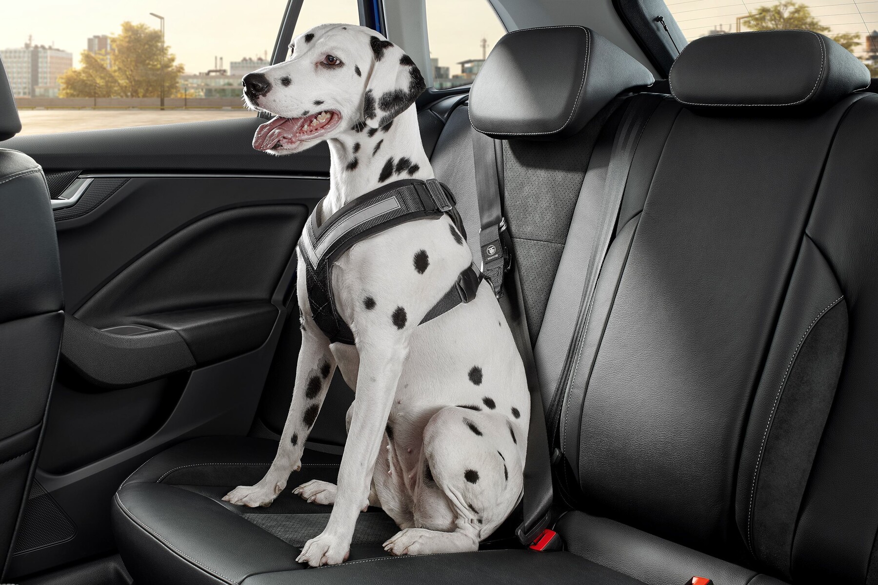 Škoda Hundeschutzgurt